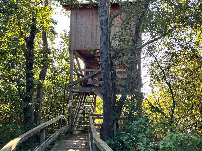 23-09-24 17-29-55 7408